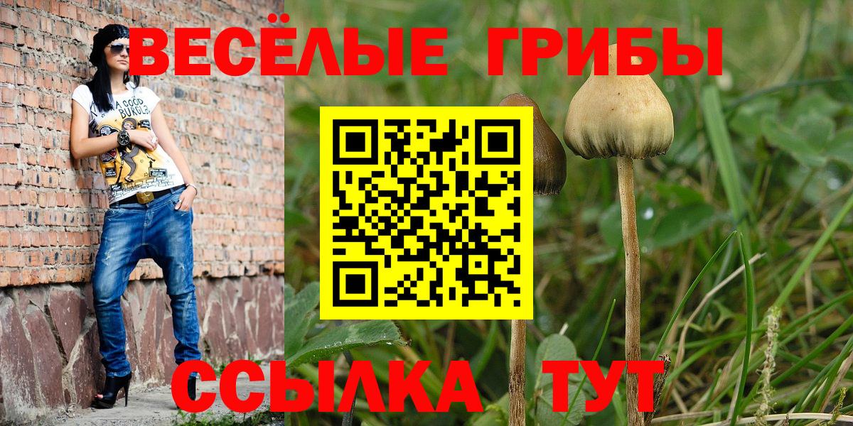 продажа наркотиков  Вход с VPN  Миллерово  Галлюциногенные грибы Psilocybe  Галлюциногенные грибы Psilocybine cubensis 