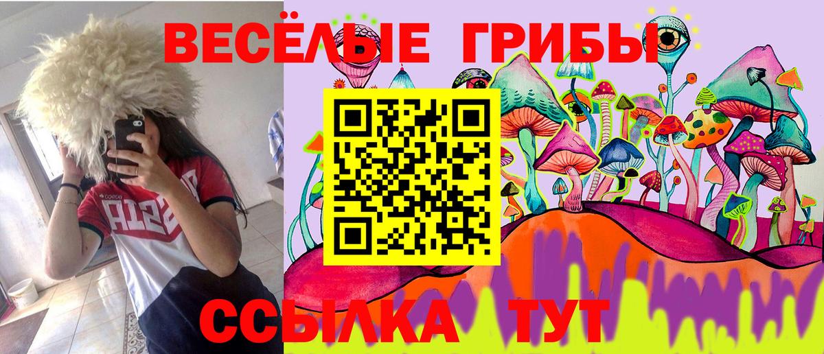 Галлюциногенные грибы Psilocybine cubensis  Миллерово 